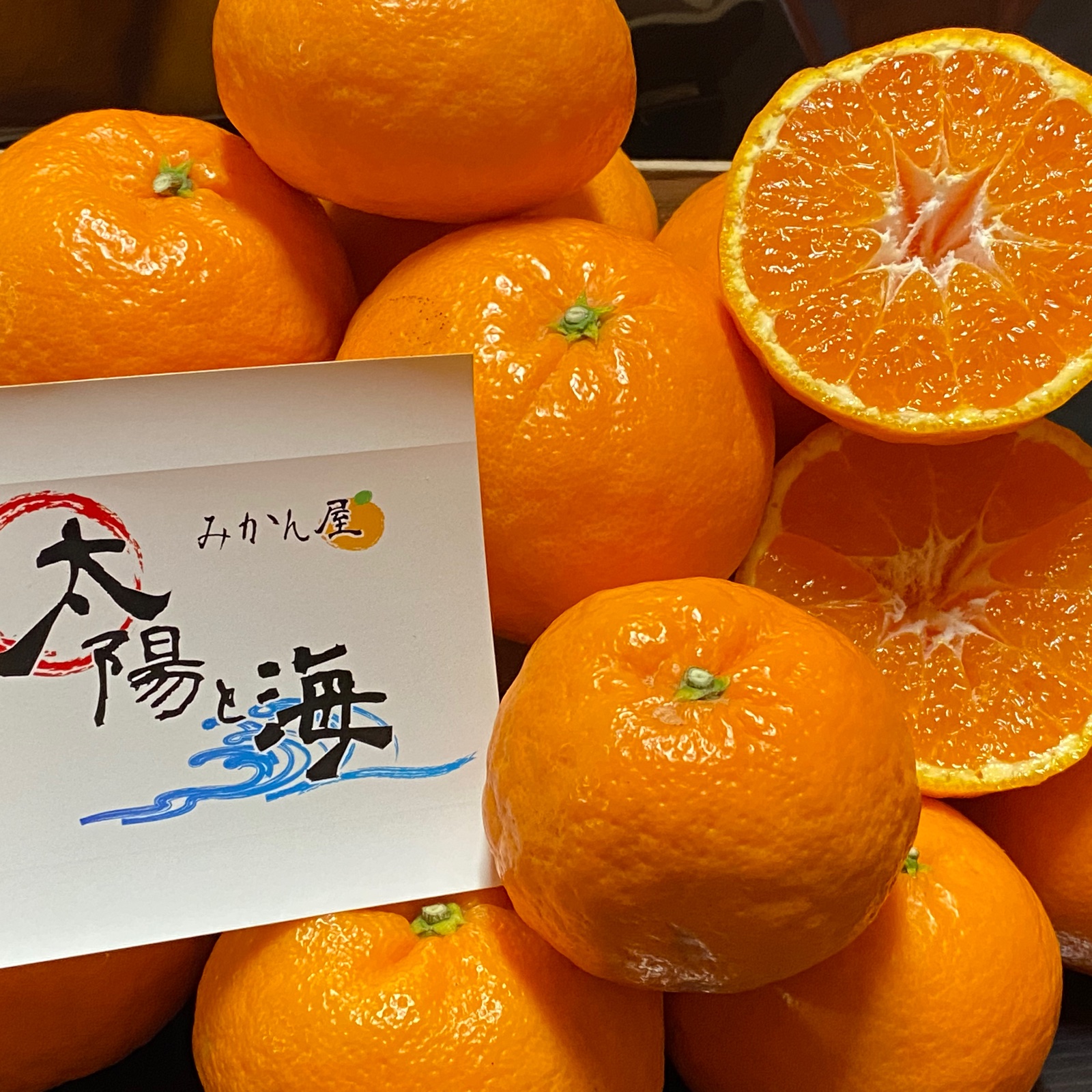 希少価値の高い】🍊はれひめ🍊（3.0k入） ｜ 果物/オレンジ・その他