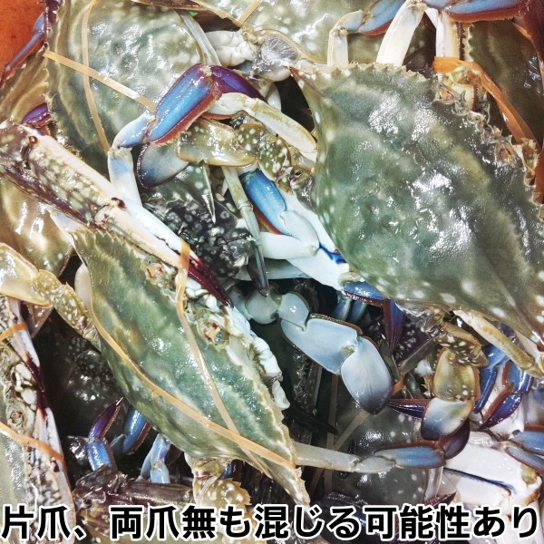 あやパンダ　カメさん　カニさん2点おまとめ