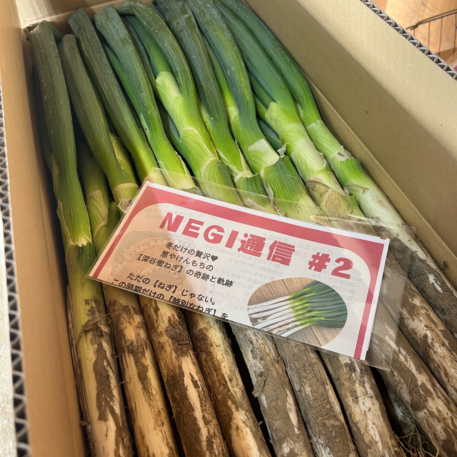 ネギ 葱や けんもち（埼玉県・深谷市）｜生産者詳細｜産直アウル