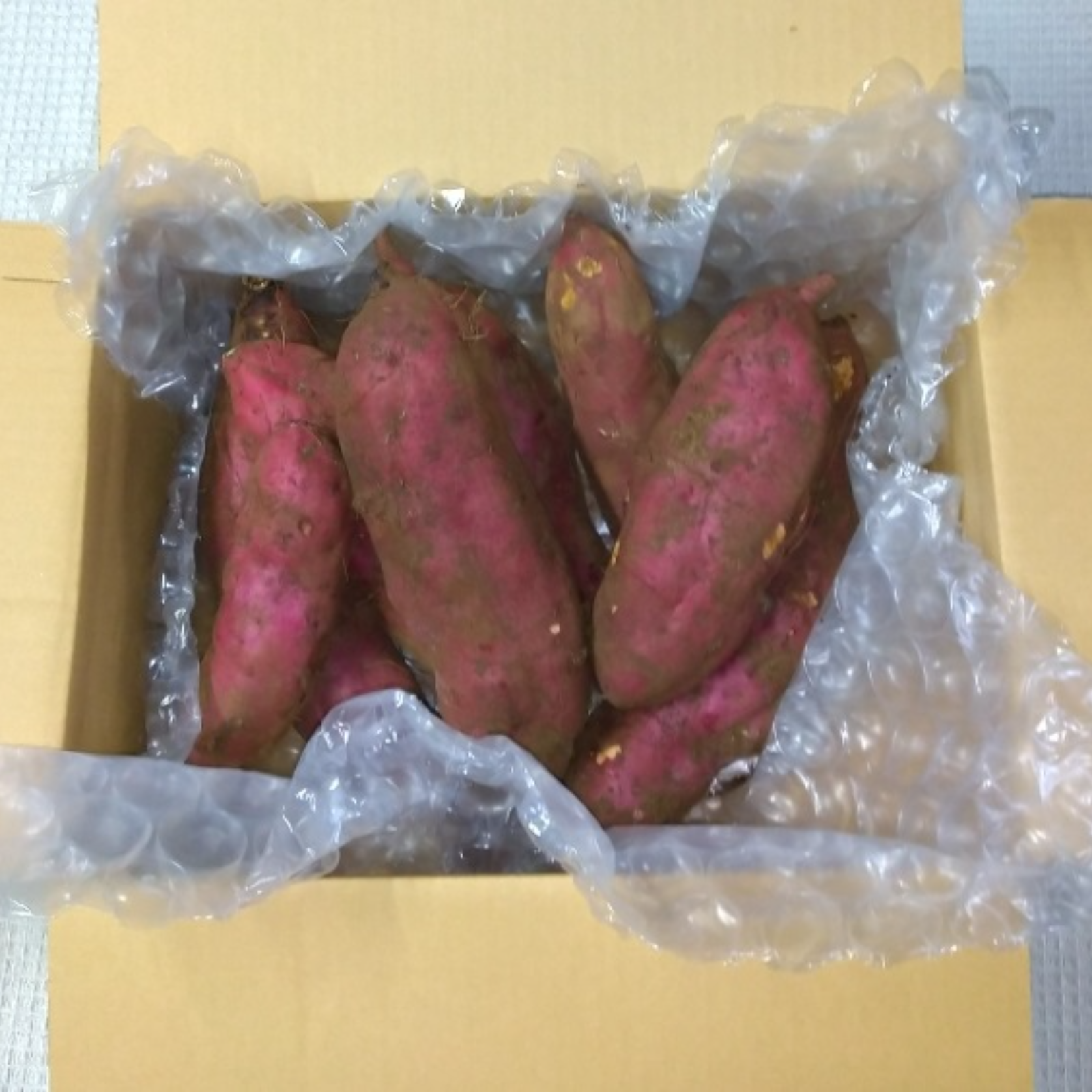 紅あずま　さつまいも　苗　300本