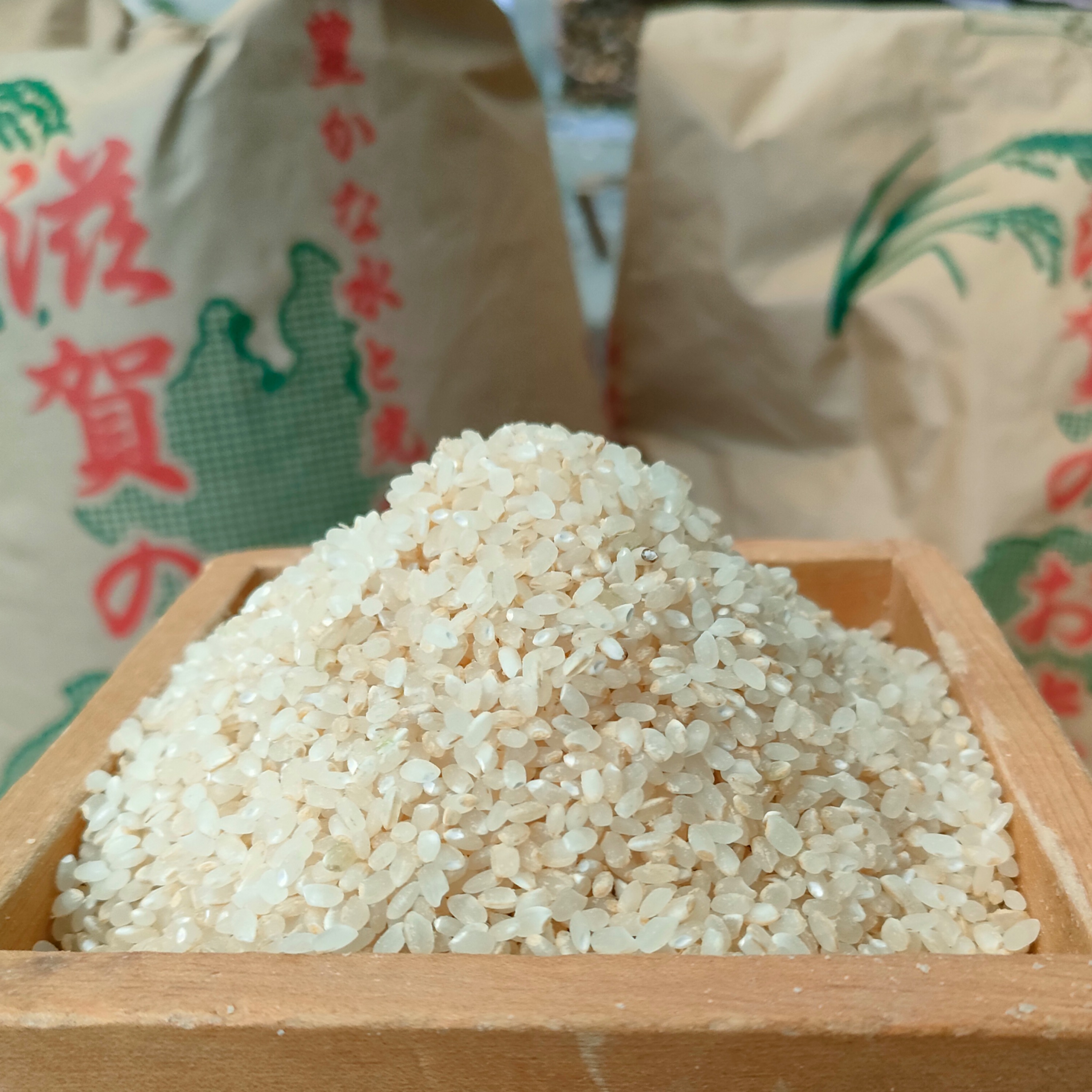 自然農法 滋賀県産コシヒカリ 10キロ 8分つき 山水と豊かな土壌で育て