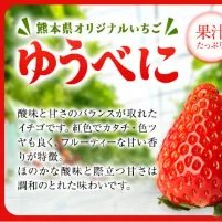 ❤️ゆうべに規格外1.2k×4箱クール便送料込14000→11000→10000 クール便)いちご^^熊本限定品種！ゆうべに ｜ 果物/いちご 産直アウル