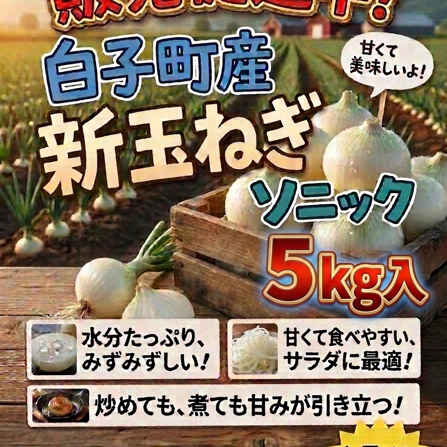玉ねぎ❢❢ 千葉県白子町産 新玉ねぎ ソニック 5kg ｜ 野菜/玉ねぎ 産直アウル