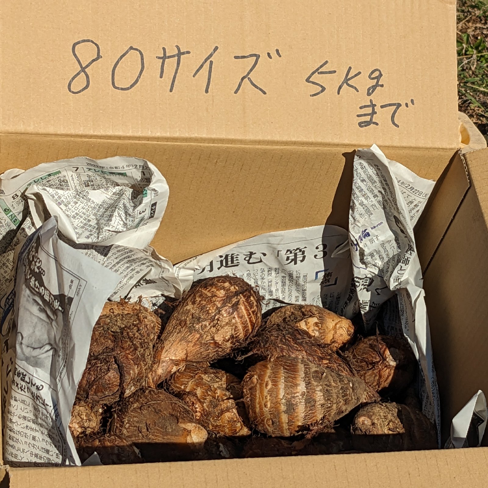 農薬化成肥料不使用の里芋（栽培期間中）5kg以内 ｜ 野菜/里いも 産直