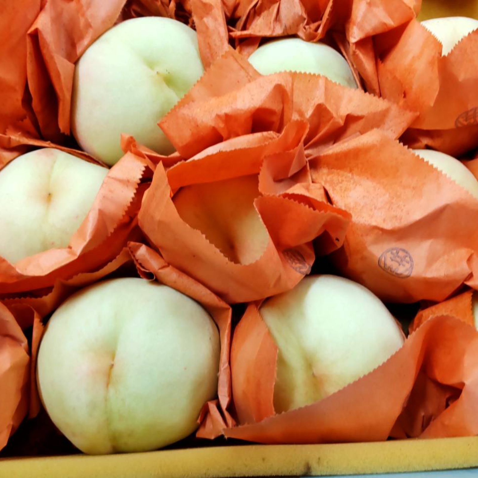 恵白】訳あり品 岡山白桃（硬い桃） ｜ 果物/もも 産直アウル 農家