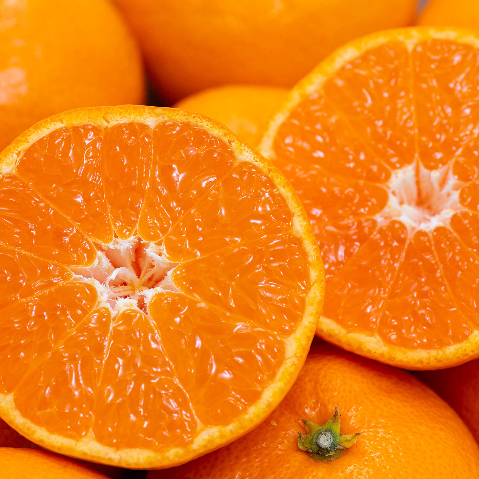 モグ姫さんが OrangeStoreニノミヤ の 【送料無料】夕やけみかん（箱