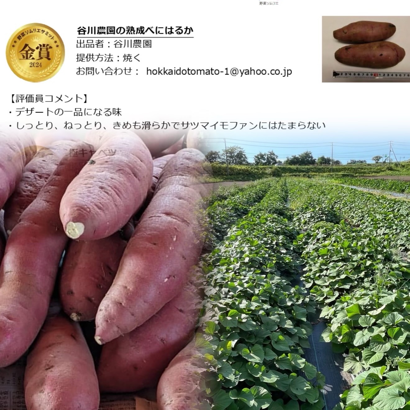 野菜ソムリエサミット2年連続 金賞受賞】北海道産【味に自信あり🍠只今