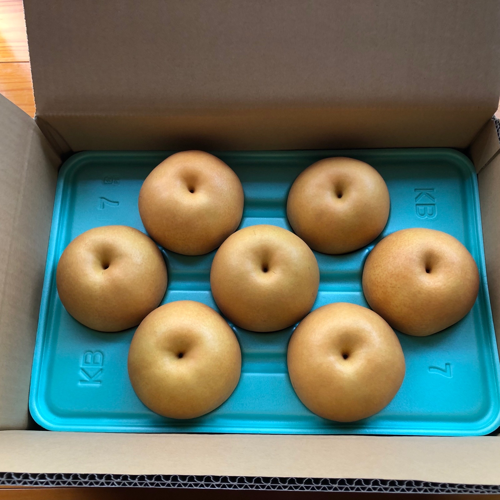 389a7fb0cfef4a81098104f1d1b2b4