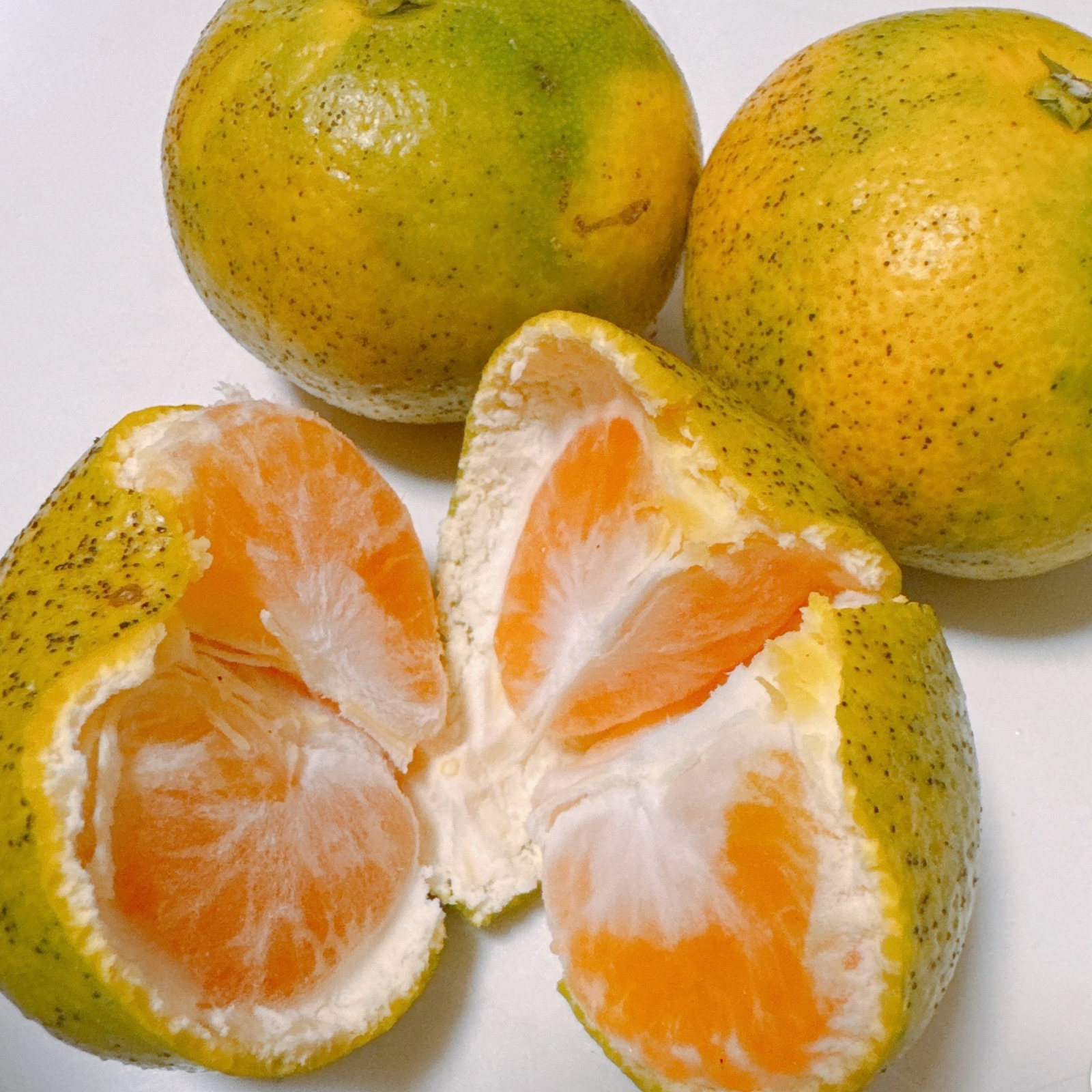 みたことないみかん 389b6f27430f91ff5dcb9c347583b0