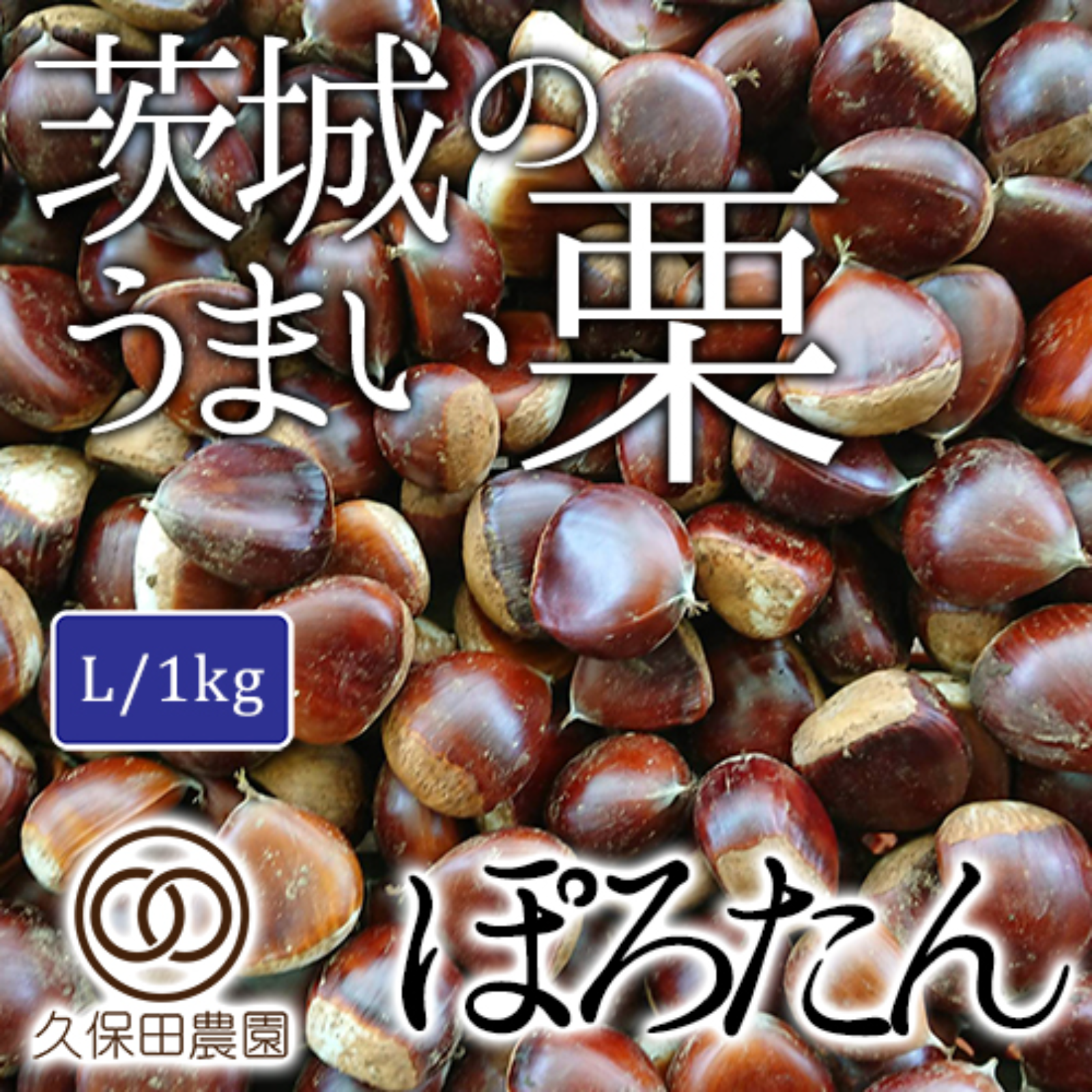 無農薬 生栗 1.0㎏(箱込み) L～2L 超格安価格 - 果物