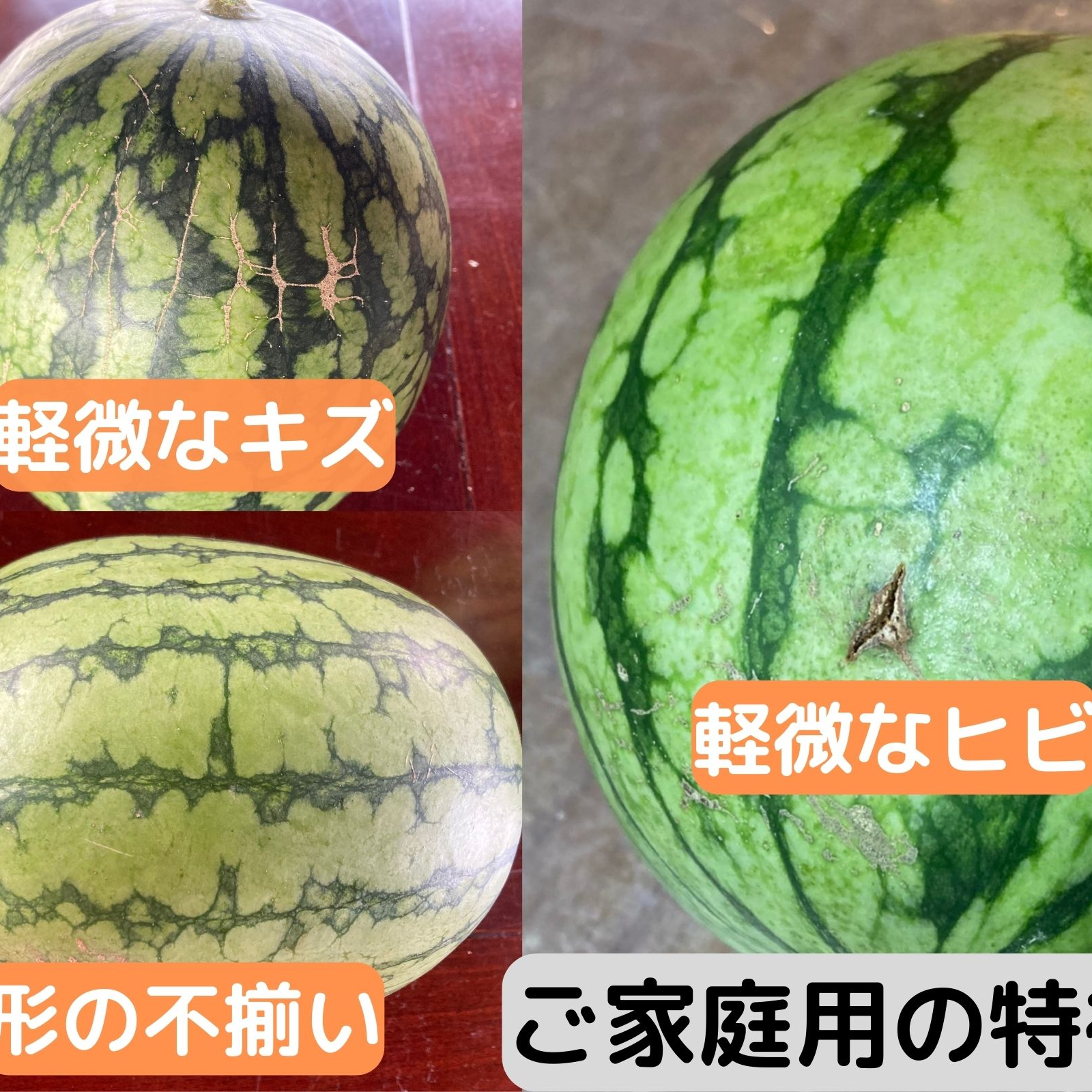 数量限定】ご家庭用 金色羅王 2Lサイズ(7kg以上) 1玉 ｜ 果物/スイカ