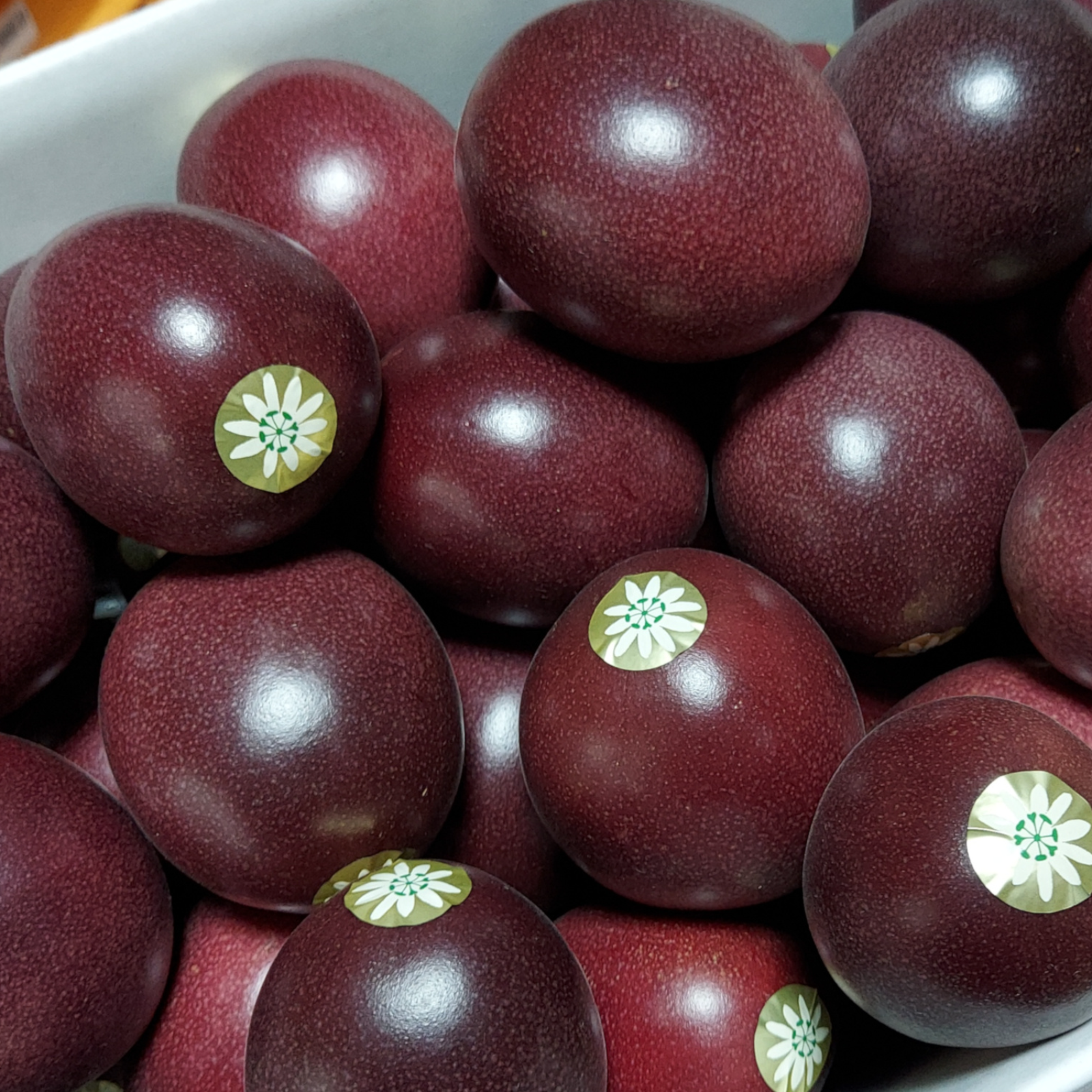 パッションフルーツ3kg | 果物/パッションフルーツ 産直アウル 農家