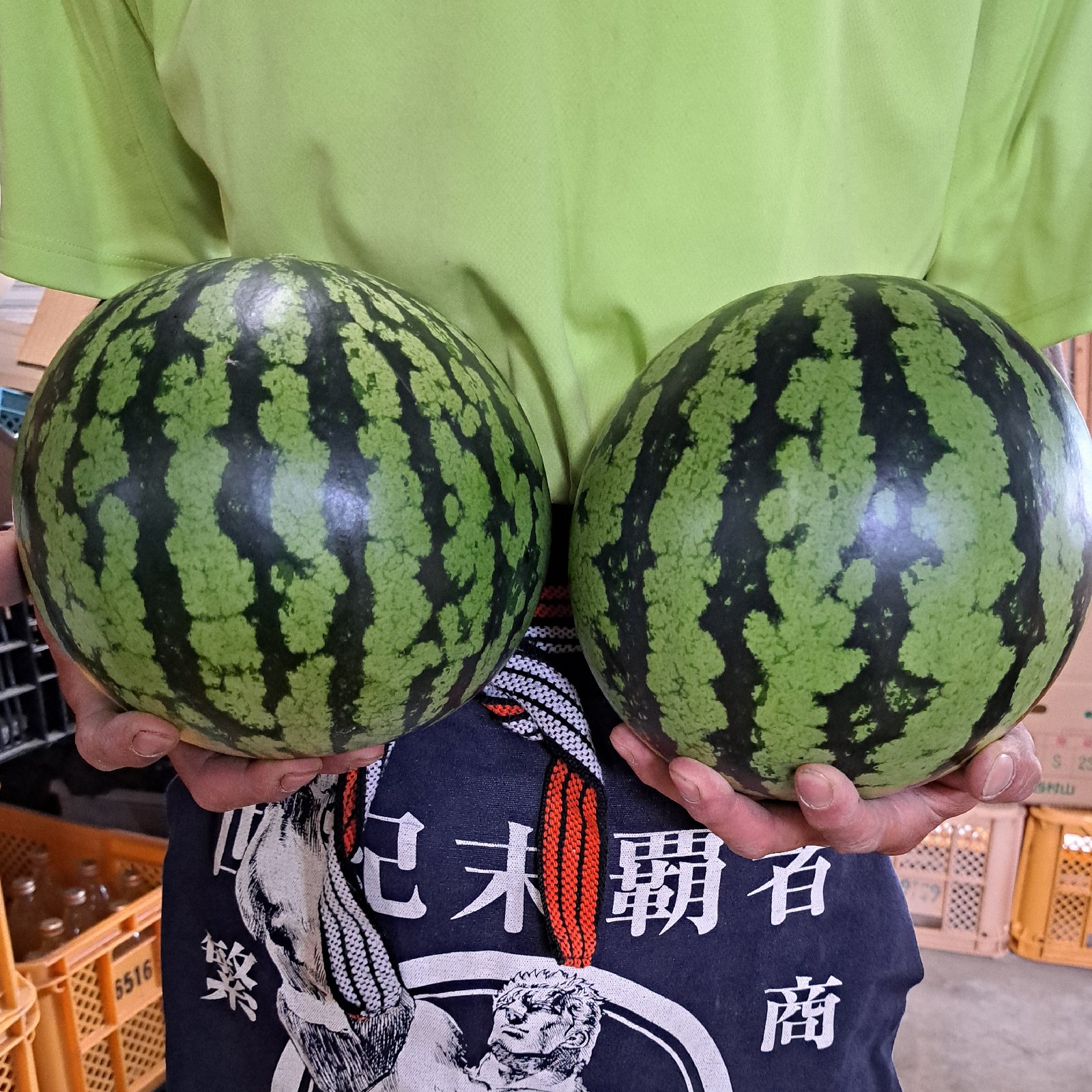 スイカ様　東京都送料込み　三越ブルージュ　イス② 山形県産 すいか 羅皇ザ・スウィート 2Lサイズ 2玉入り ｜ 果物/スイカ