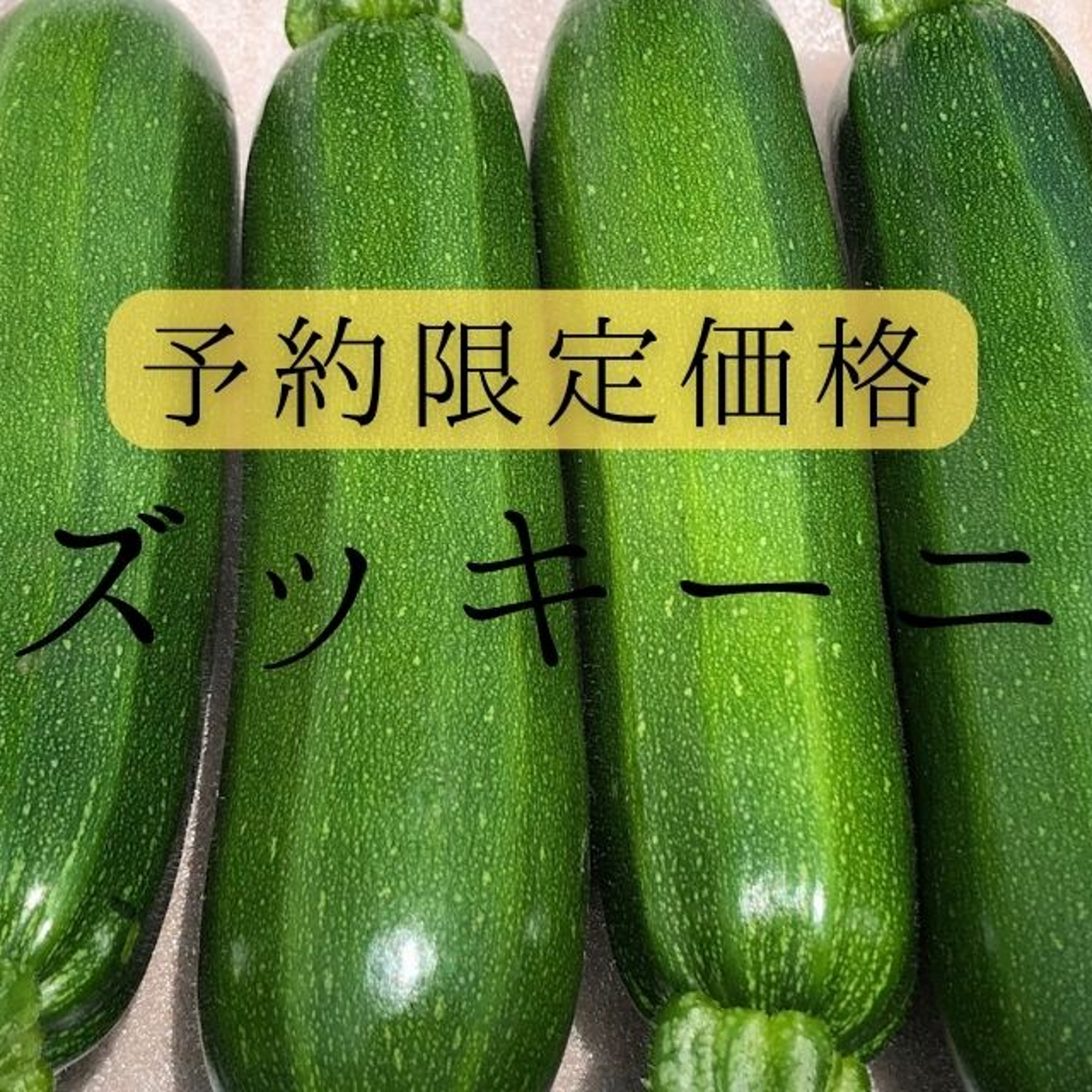 規格外ズッキーニ約20kg
