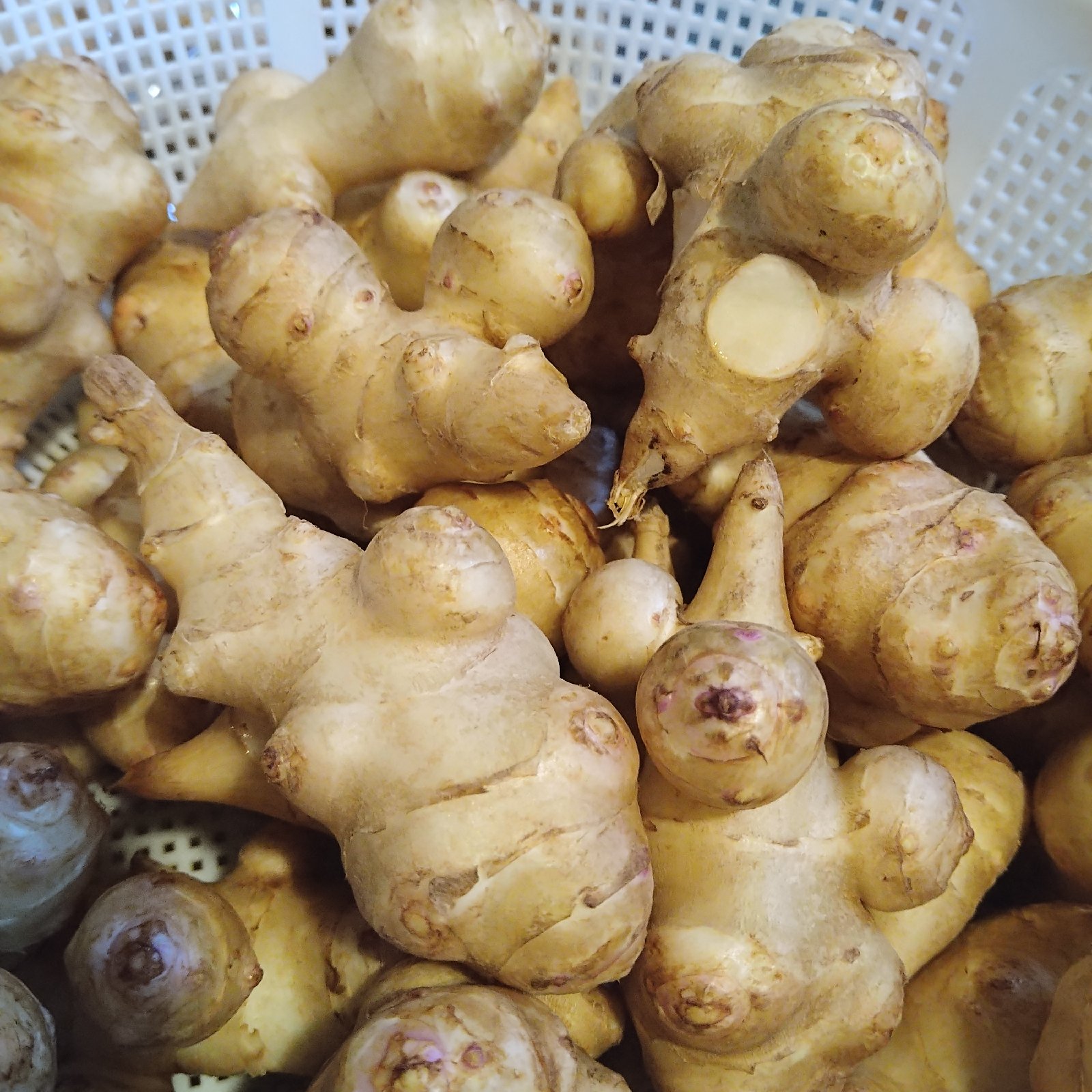 394d248edbaecc99a5d3b9ab4ec0fe