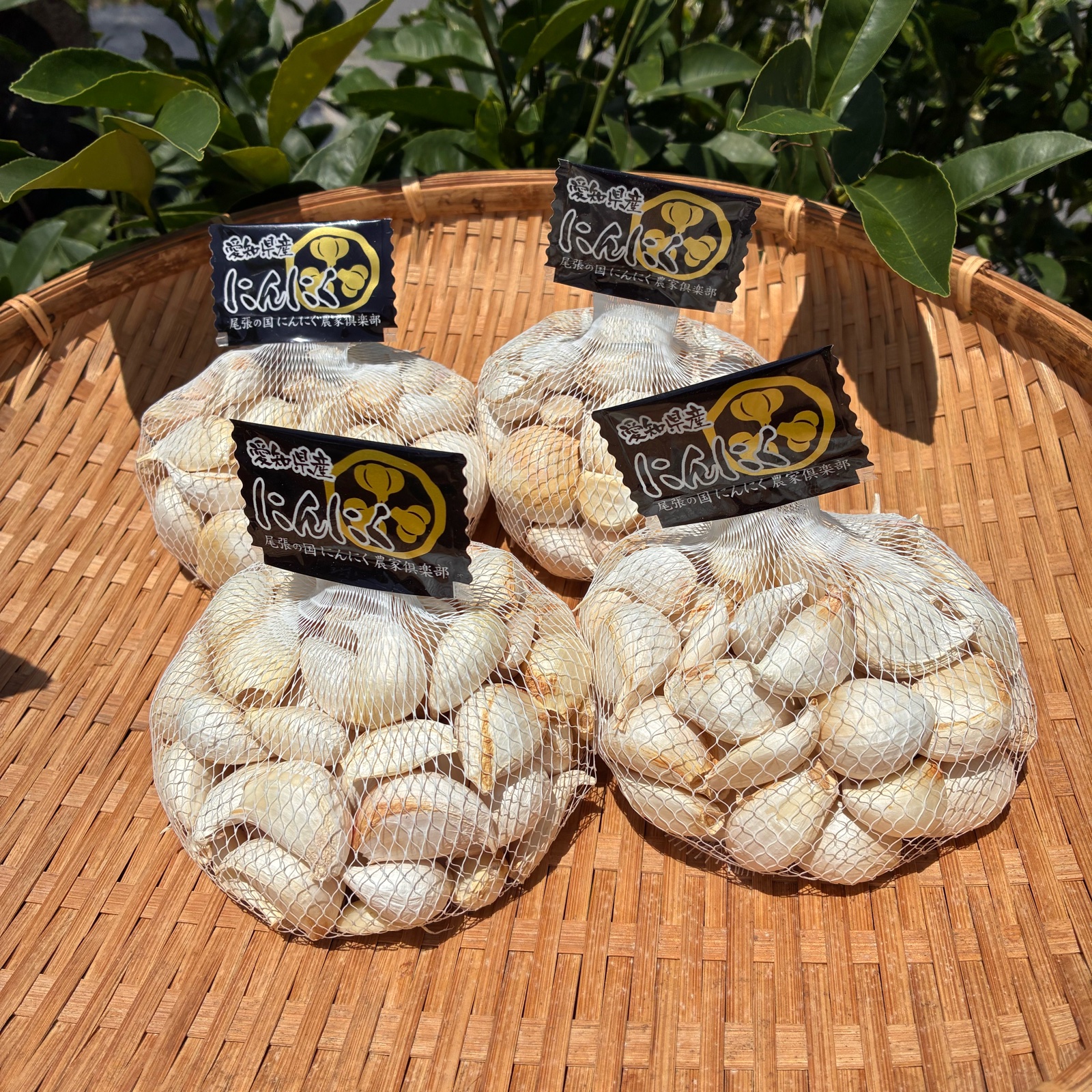 M'S農業 にんにく専門（愛知県・一宮市）｜生産者詳細｜産直アウル