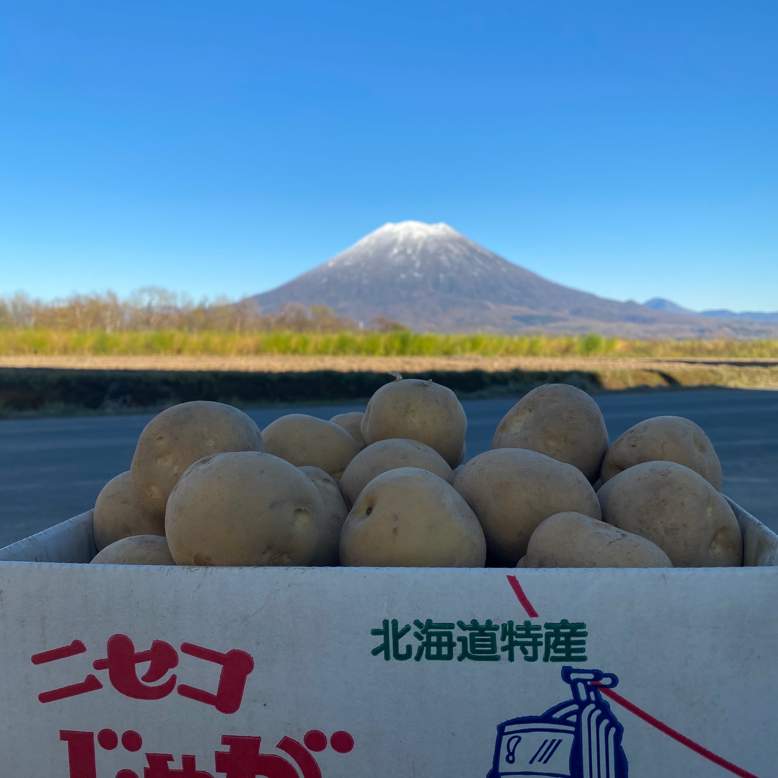 とうや（野菜＞じゃがいも）の産地直送商品一覧（通販・お