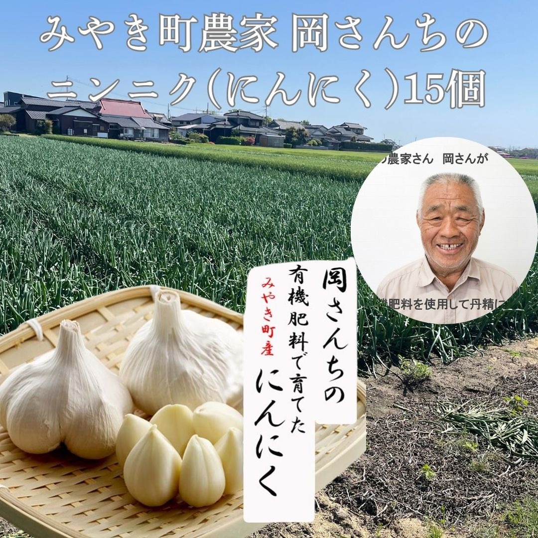 にんにく屋さん 出品 佐賀県みやき町岡さんちのニンニク（にんにく）15個 ｜ 野菜/にんにく