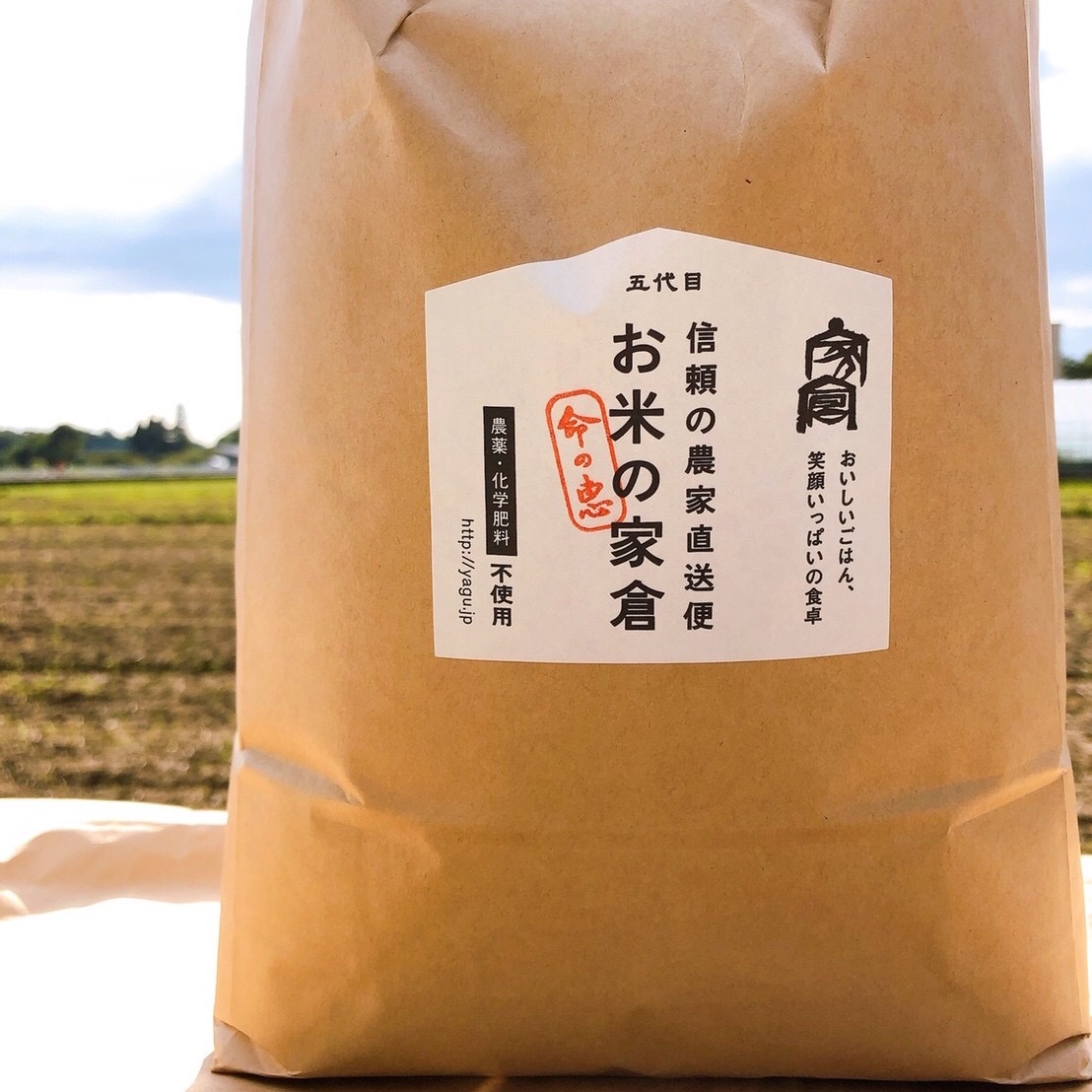 新米 ミルキークィーン 白米 20kg 令和三年産 ミルキークイーン白米20