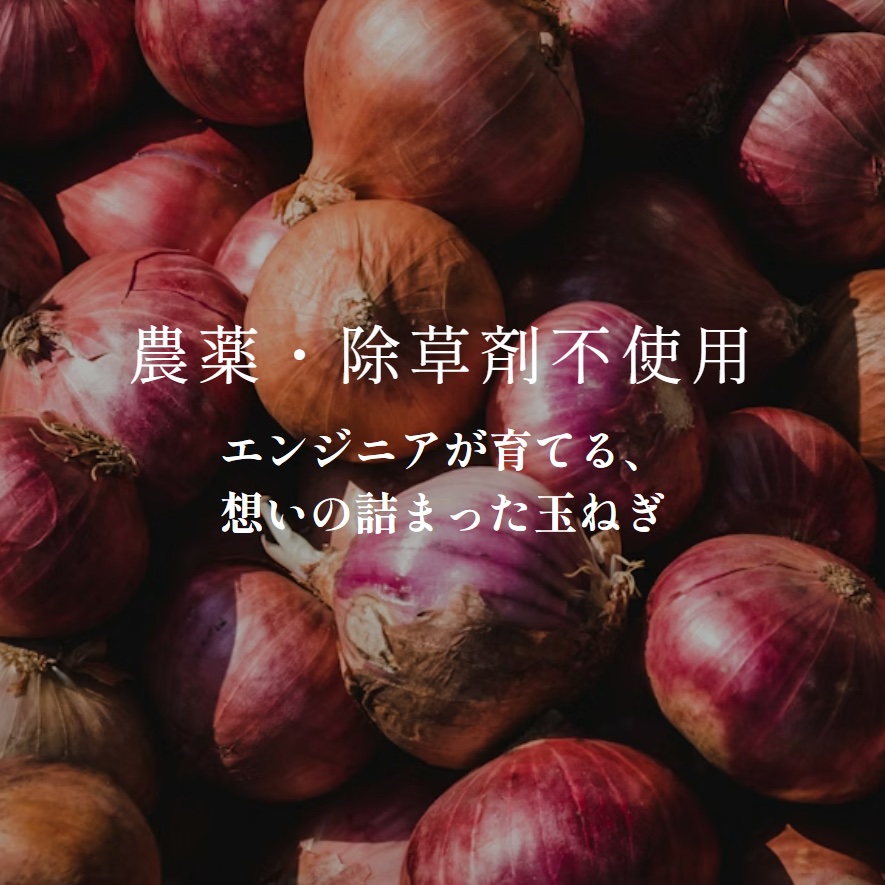 農薬・除草剤不使用！淡路島 新玉ねぎ(七宝) 5kg いつものサラダを
