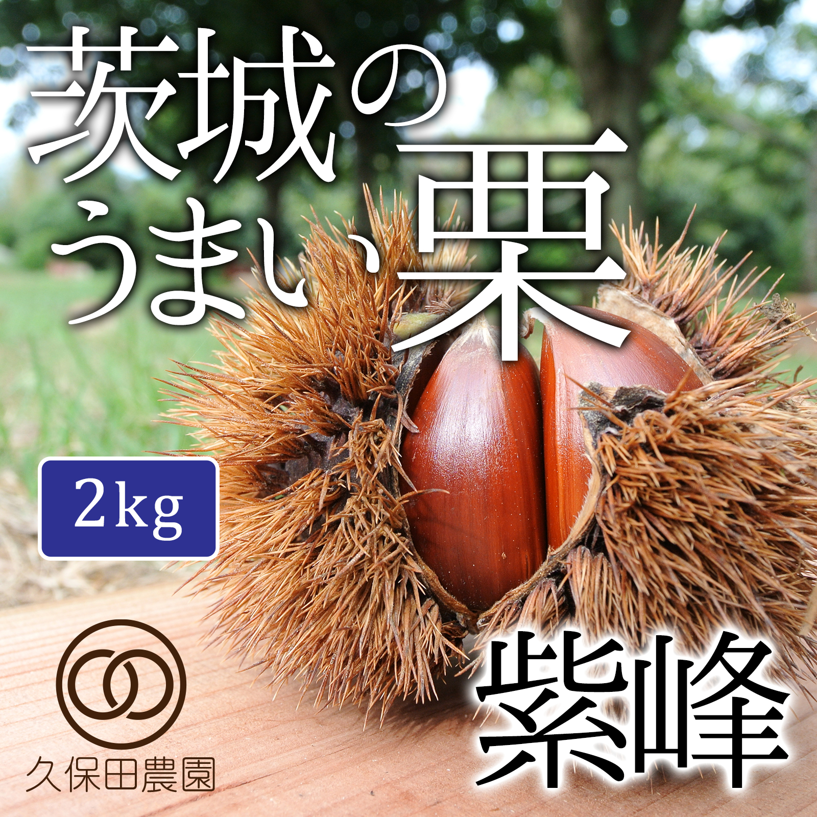 茨城のうまい栗（紫峰）約2kg／Lサイズ | 果物/栗 産直アウル 農家から