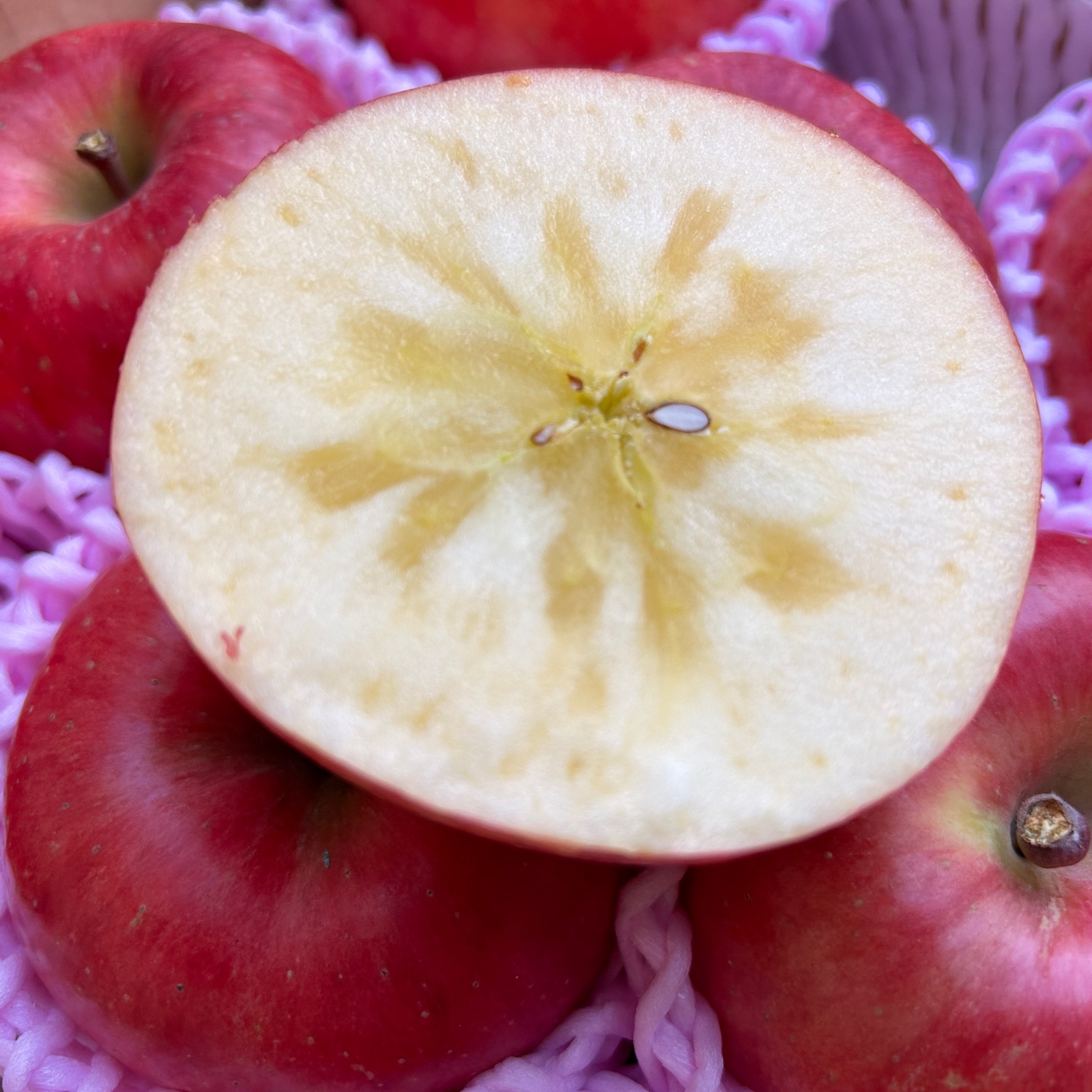 幻の蜜りんご‼️山形県産こうとく【大きめサイズ秀5キロ】 ｜ 果物