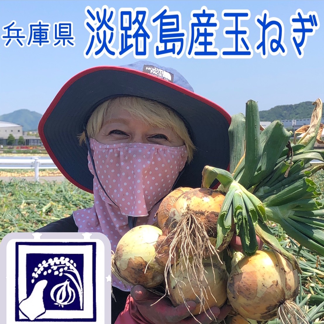 竹川ファームの淡路島産新玉ねぎ 最高品種 七宝 | 野菜/玉ねぎ 産直