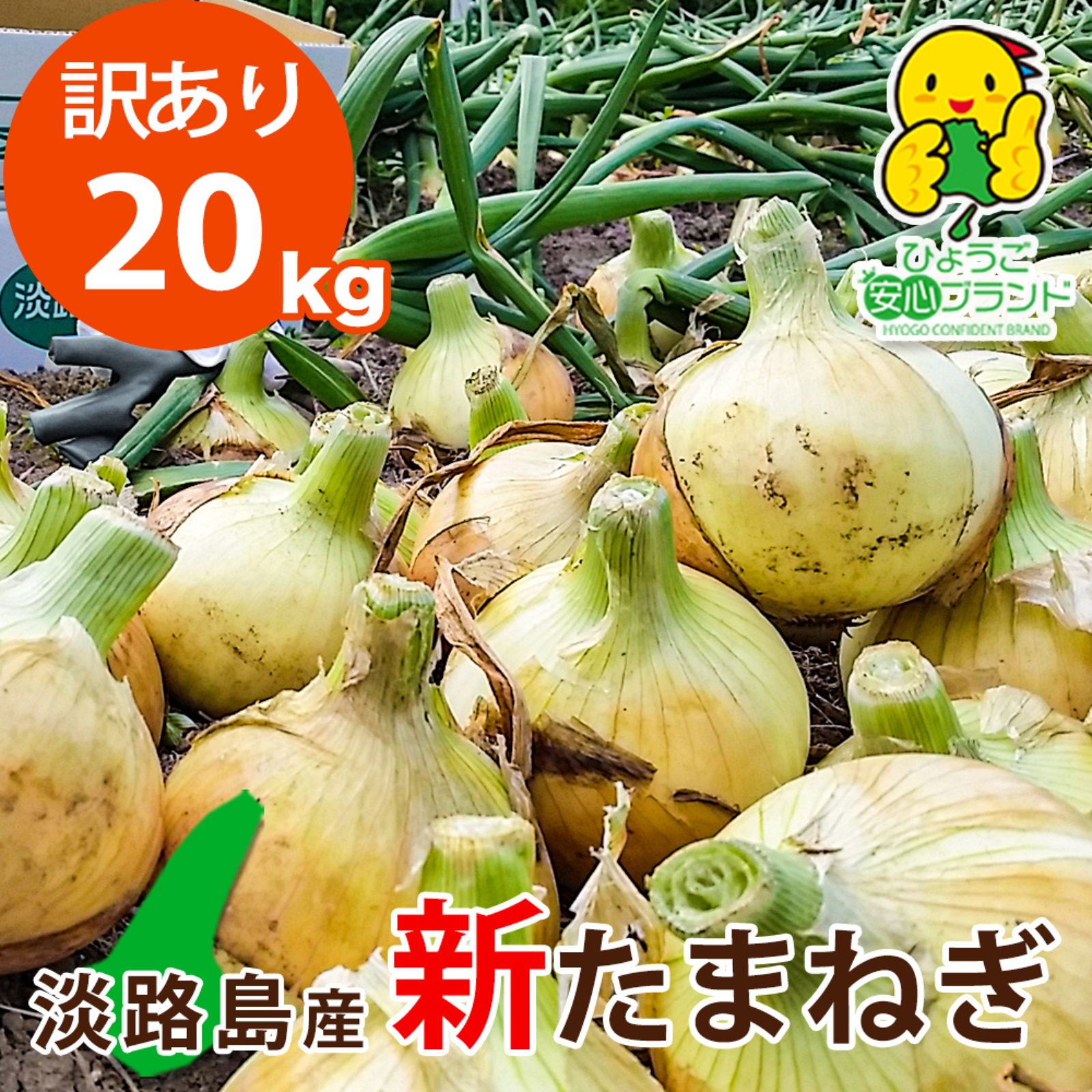 【訳あり品】淡路島産新たまねぎ 【20kg】 兵庫県認証食品