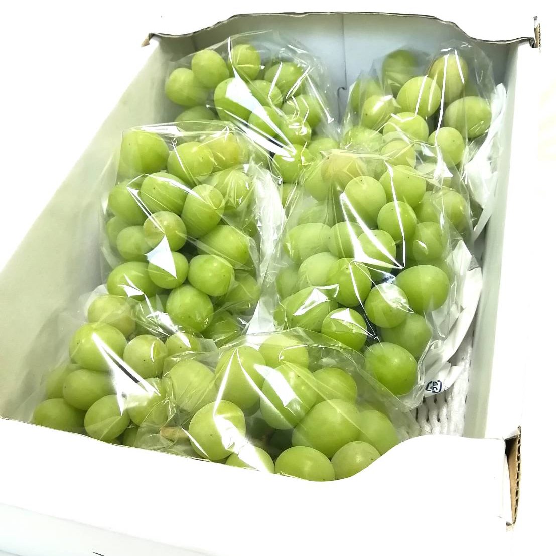 訳有り】瀬戸ジャイアンツ2kg ｜ 果物/ぶどう 産直アウル 農家・漁師