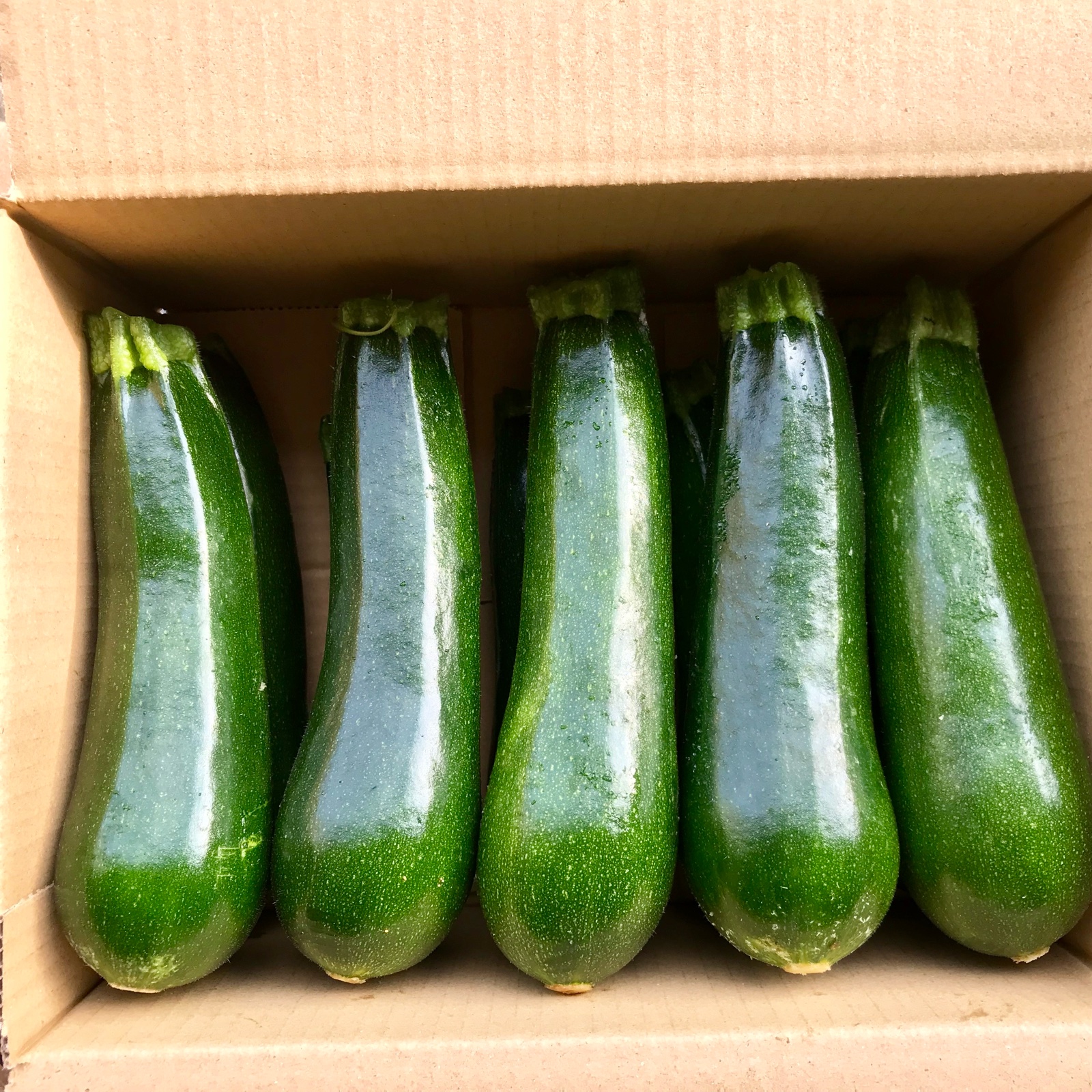 ファミリー農美家畑産地直送便（鹿児島県・垂水市）｜生産者詳細｜産直