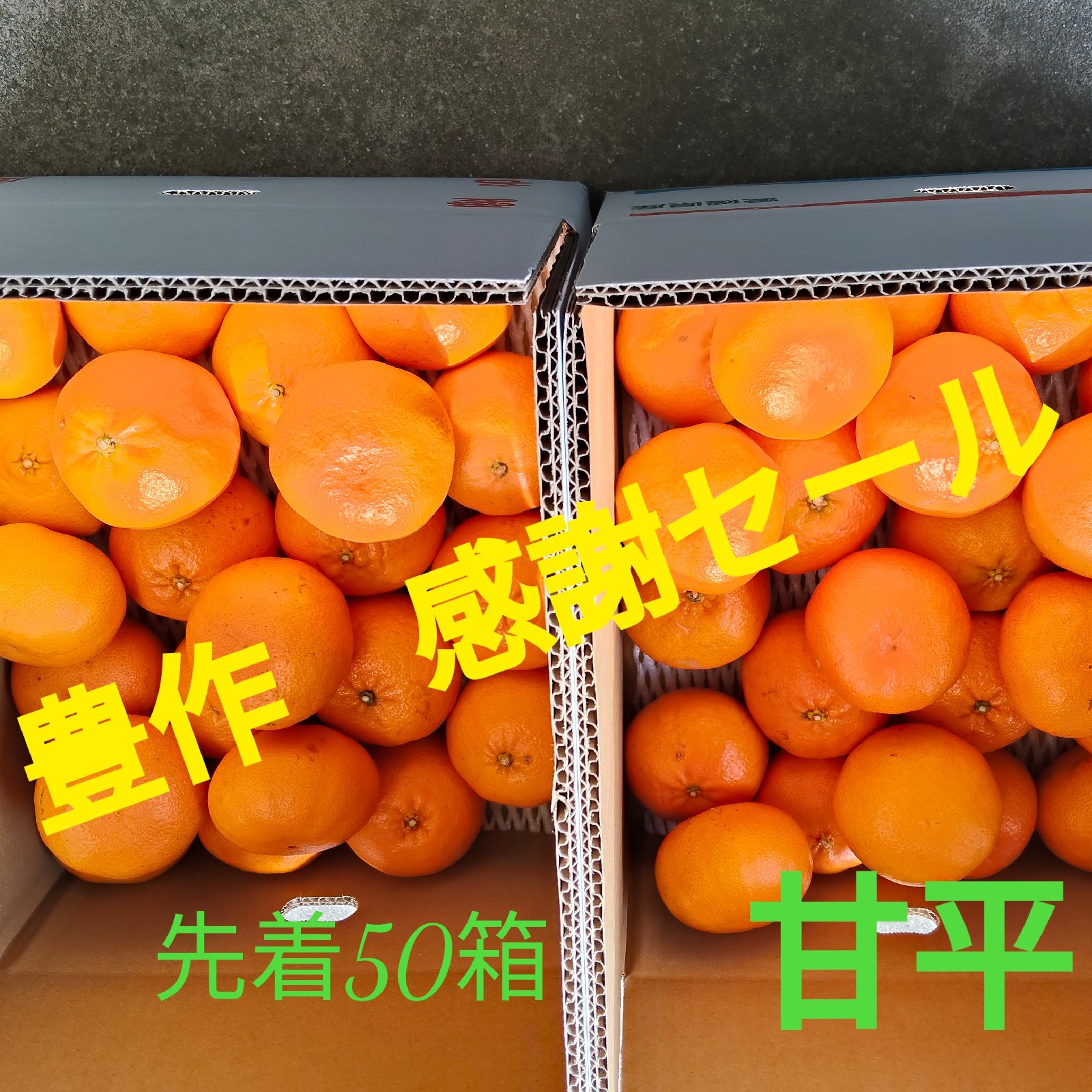 【オレンジ様】専用・青/緑、各360ｇ≪リクエスト特割特価≫ バイク ゴーグル ストリート タイプ 新品 ブルー オレンジレンズ