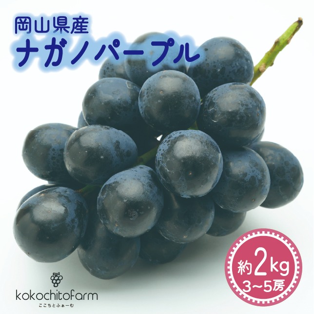 食品 ⑥【岡山県産】ナガノパープル約2キロ(3〜5房)