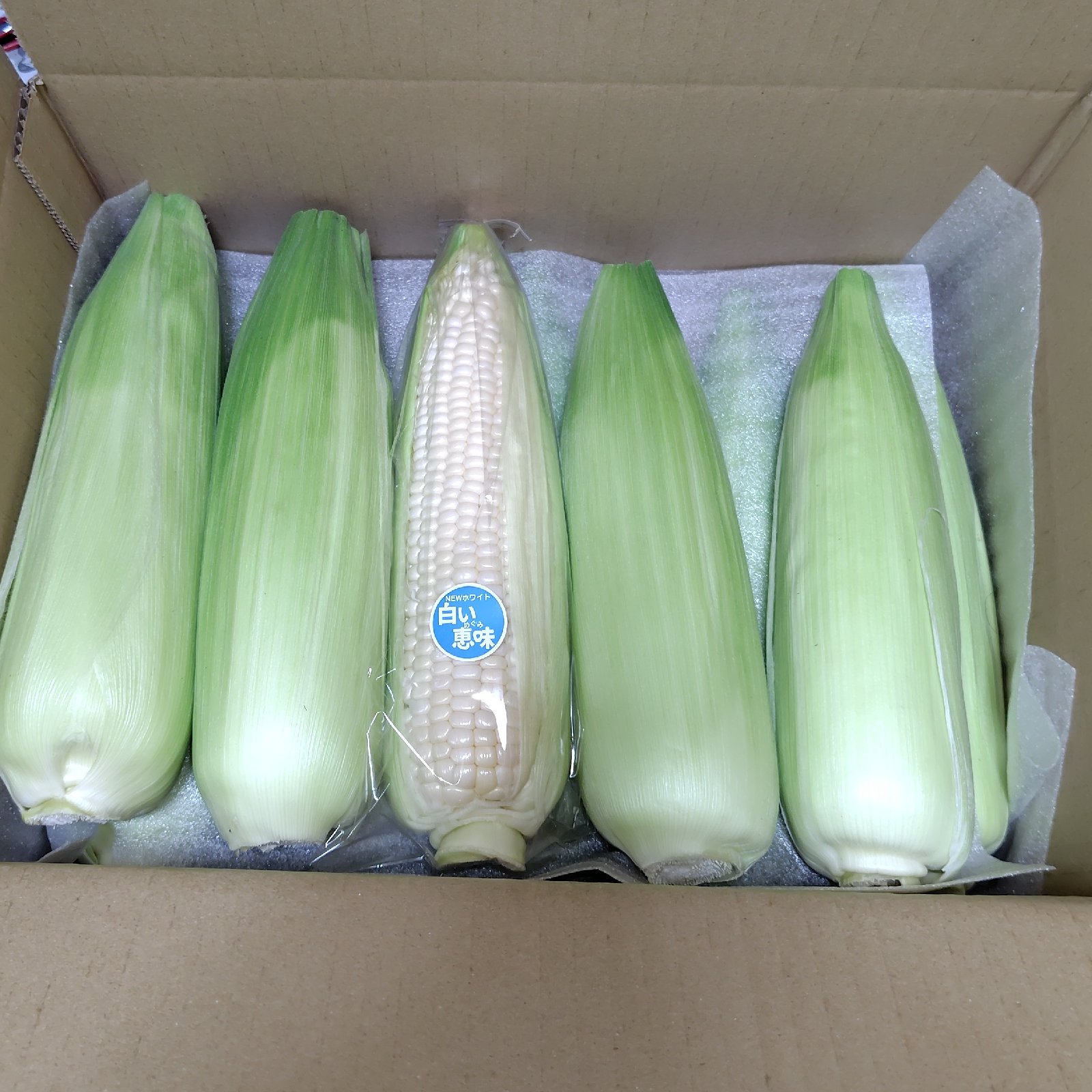 茨城県産白いとうもろこしL〜3Lサイズ ｜ 野菜/とうもろこし 産直