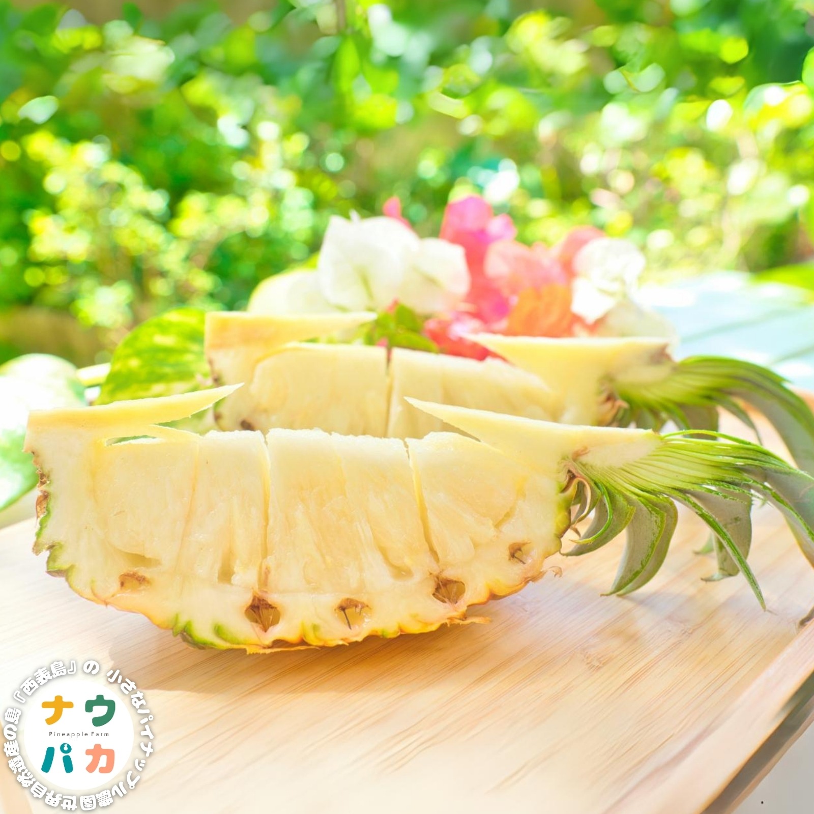 6月発送》✨完熟ピーチパイン2Kg(3〜4個入)✨世界自然遺産の島『西表