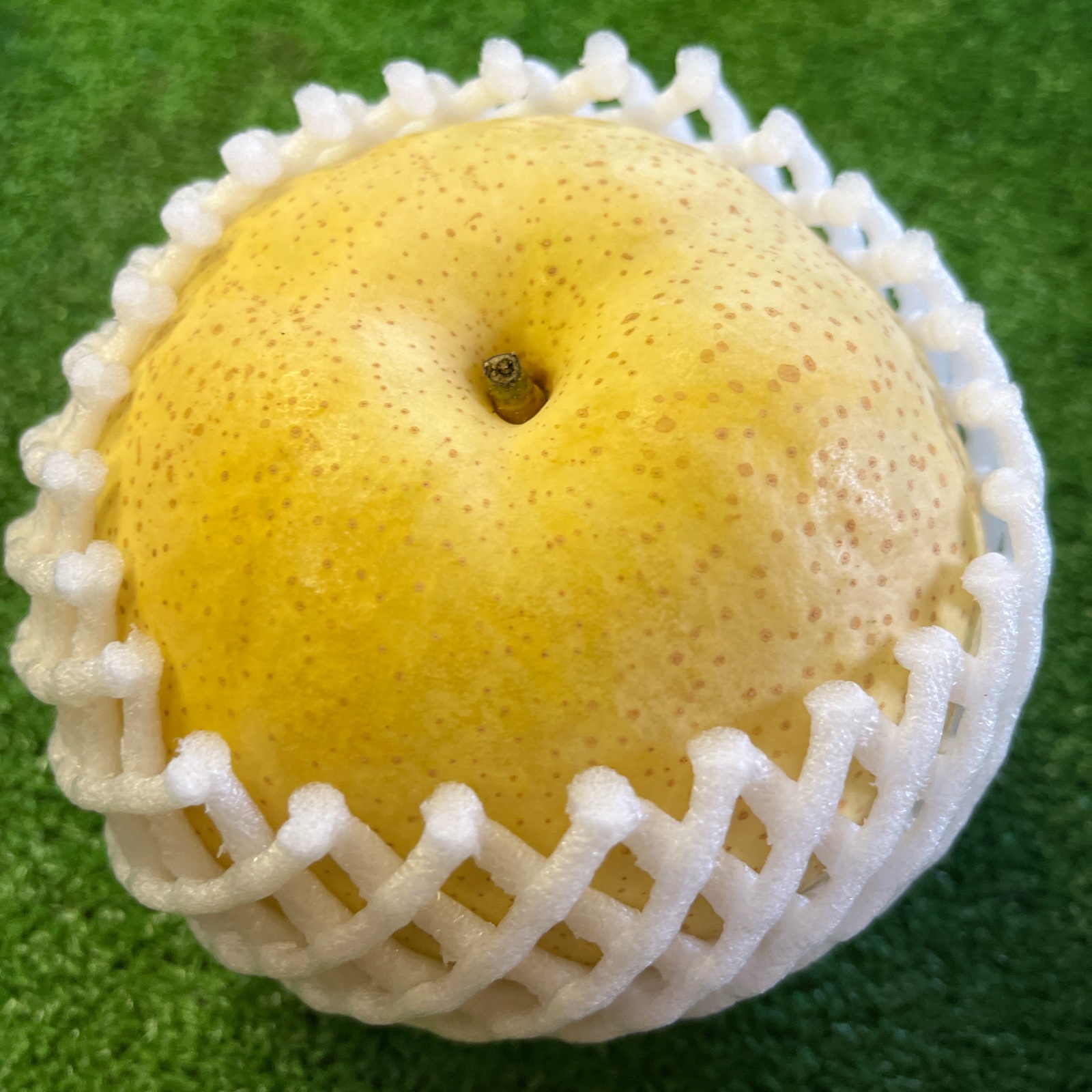 曽篠梨園の『かおり梨』 | 果物/梨 産直アウル 農家から直接野菜などの