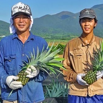 甘さ抜群！ハナナス農園のサンドルチェ 【2玉〜3玉】約3kg ｜ 果物