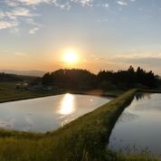 EM栽培米・残留農薬0の米【特別栽培米】岩手県産ひとめぼれ（玄米