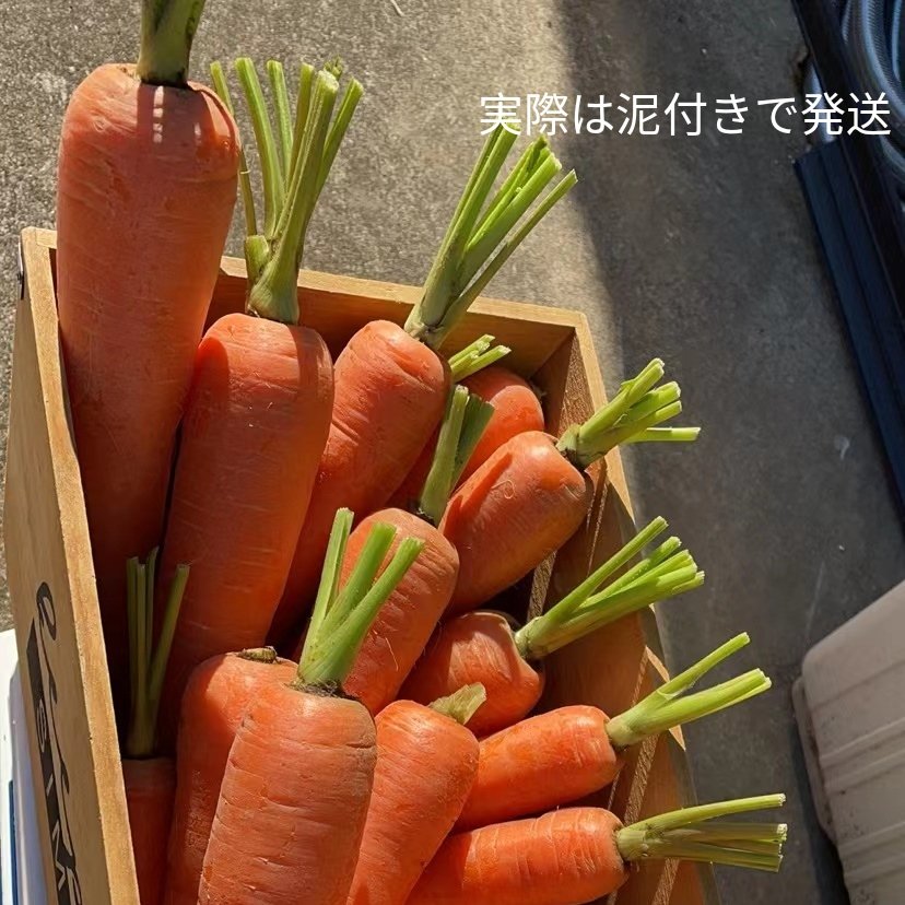 茨城産無農薬泥付きにんじん 5キロ ｜ 野菜/人参 産直アウル 農家