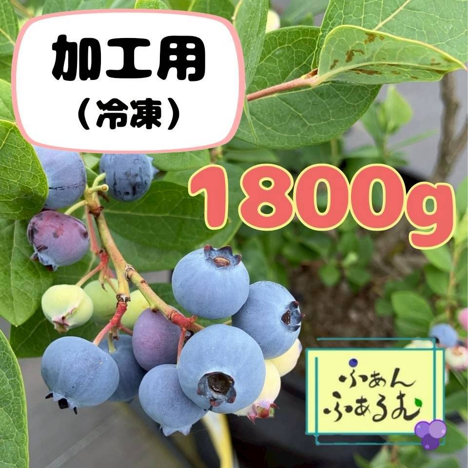 加工用】冷凍ブルーベリー 1800g ｜ 果物/ベリー類 産直アウル 農家