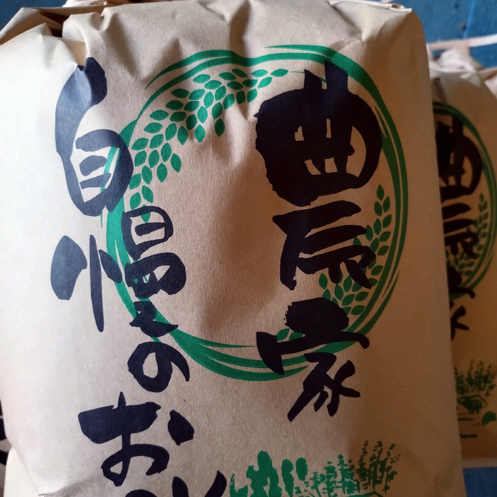 宮崎県産の2025年新米無洗米コシヒカリ5kg ｜ 米・穀物/無洗米 産直