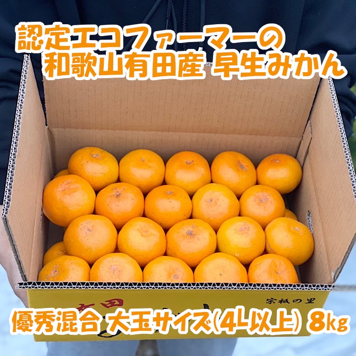 ごんパール柑４Ｌ以上20kg 春峰（しゅんぽう）｜フルーツ・果物のお取り寄せ通販は観音山フルーツ