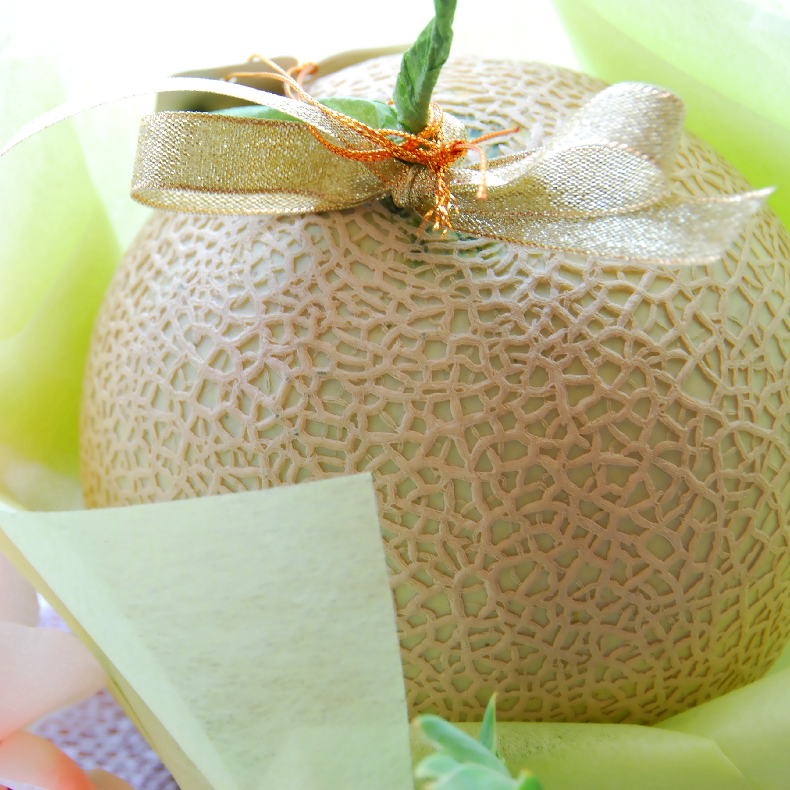 品質優良賞受賞】生産量日本一！茨城県産 アールスメロン【特秀】2玉
