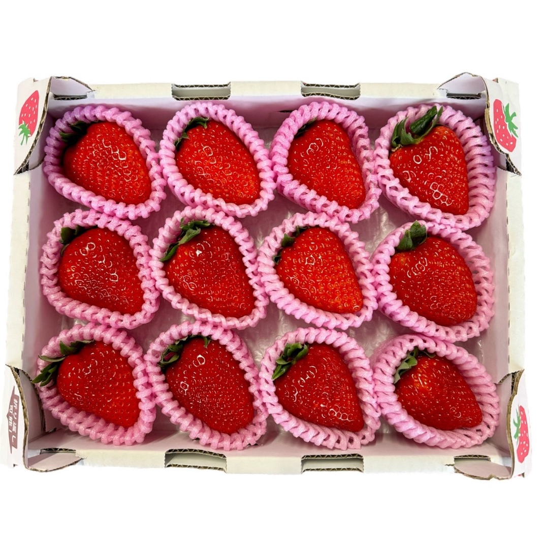 お歳暮・ギフト用】奈良ブランド「古都華」超特大（12粒）/箱 いちご