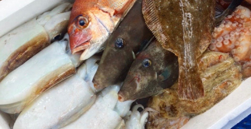 EBISU☆FISHERY 今治市