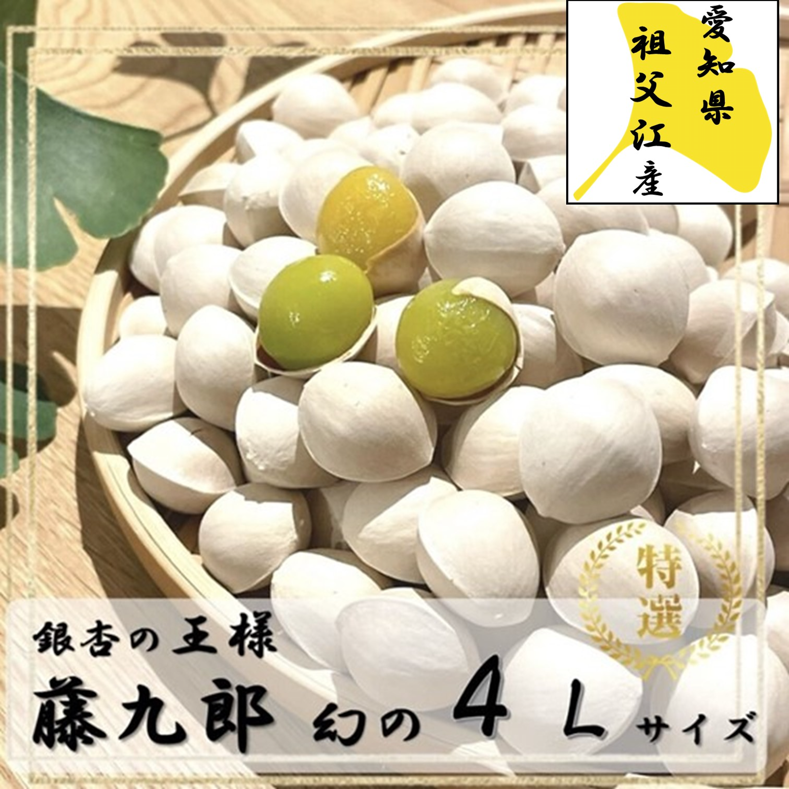 祖父江銀杏 幻の4Lサイズ たっぷり500g ｜ 野菜/その他野菜 産直