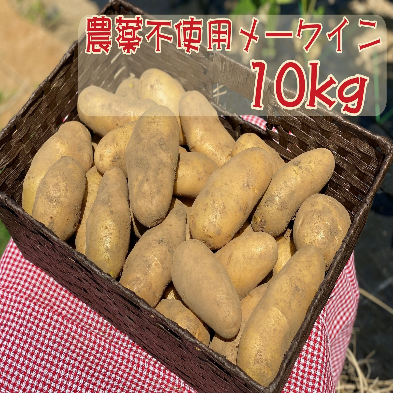 竹粉育ち】農薬＆化学肥料不使用新じゃがいも（メークイン）10kg