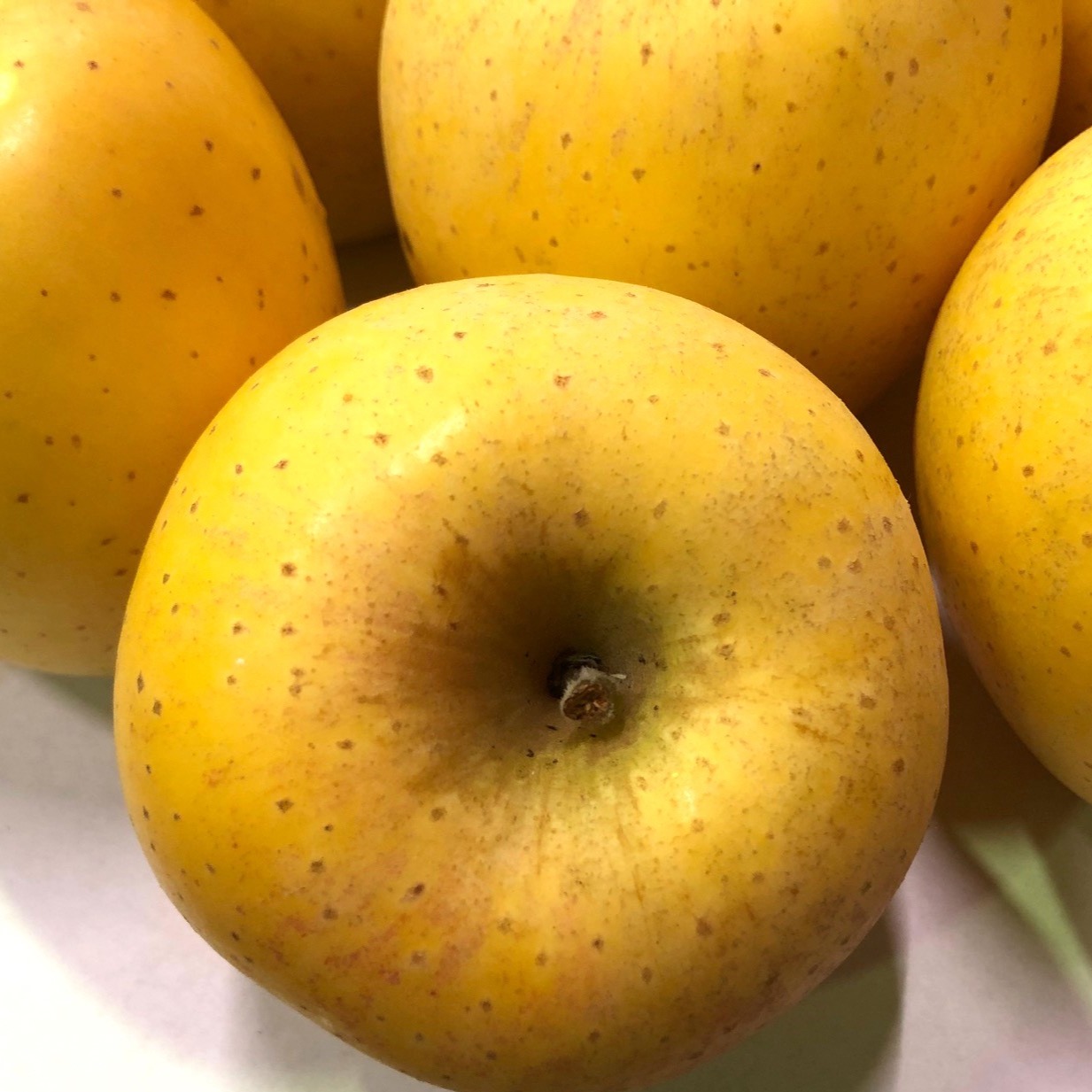 2箱セット はるかりんご贈答用小玉　5キロ箱