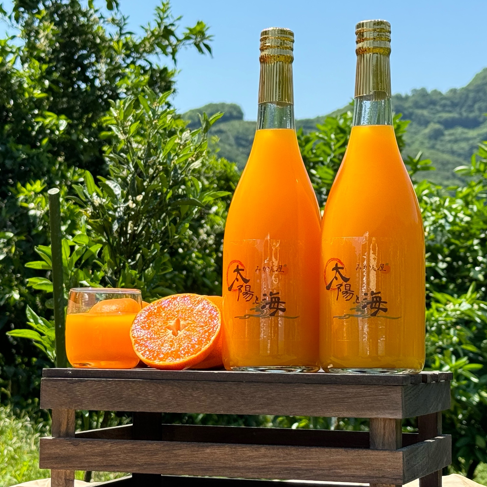 【okapi】1000ｍｌみかんジュース１２本×２セット 太陽と海のオリジナルみかんジュース ｜ 飲料/ジュース 産直アウル