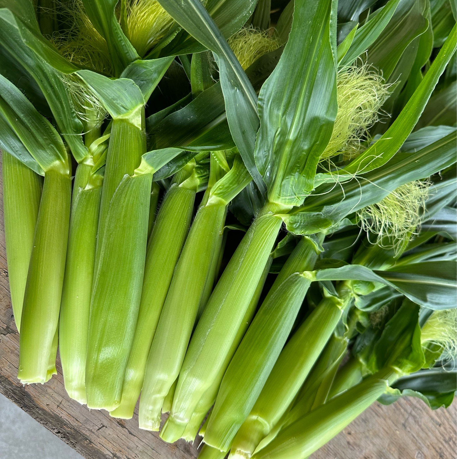 和歌山県産 おおもの ヤングコーン 100本 ｜ 野菜/とうもろこし 産直