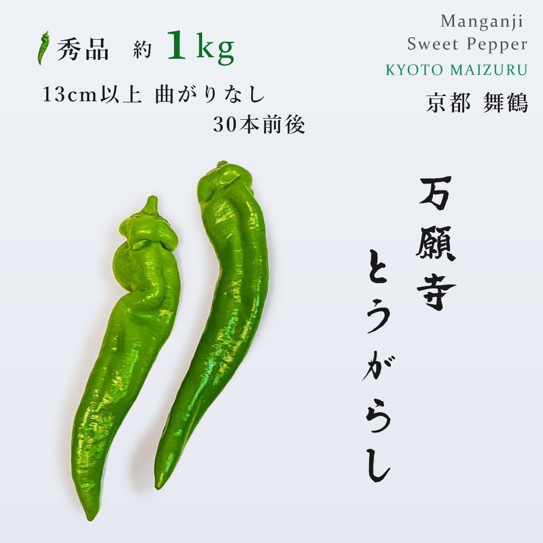 【京都・舞鶴産】朝採れ直送 万願寺とうがらし-良品8.5㌔以上 【京都・舞鶴産】朝採れ直送 万願寺とうがらし-良品8.5㌔以上